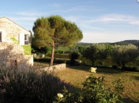 La vue à partir de la piscine