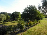 Vue de la piscine 1